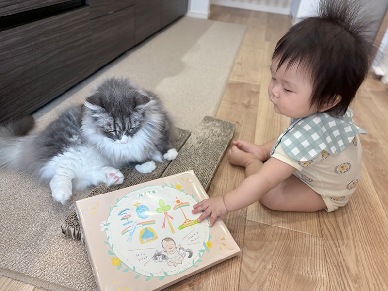 「この度は素敵な作品をありがとうございました。」 